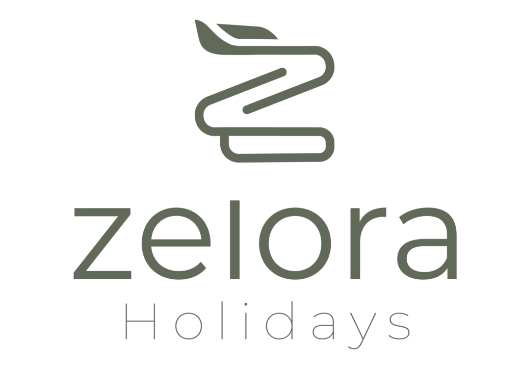 zelora logo best freelance digital marketing expert in kochi